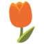 :tulip: π·