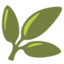 :herb: πΏ