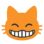 :smile_cat: šø