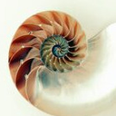 LittleShell